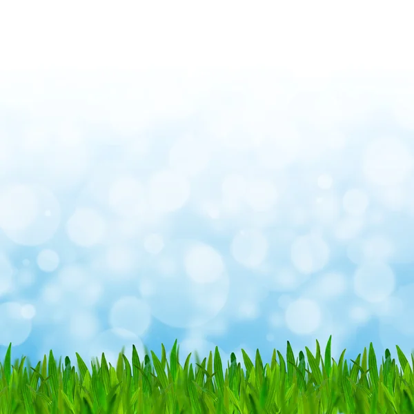 Абстрактный синий тон боке фон с зеленой травой . — стоковое фото