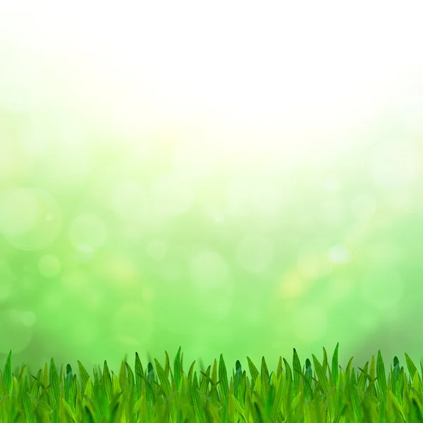 Streszczenie tło bokeh zielony sygnał z zielonej trawie. — Zdjęcie stockowe