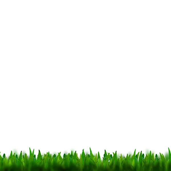 Zielona trawa izolowana na białym tle — Zdjęcie stockowe
