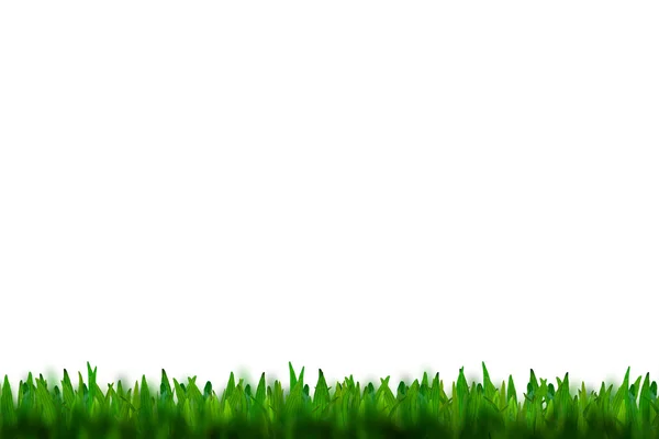 Zelená tráva izolované na bílém pozadí — Stock fotografie