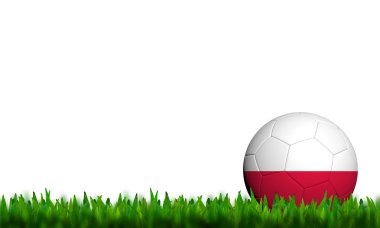 Yeşil çimenlerin üzerinde beyaz adam içinde 3D Futbol Polonya bayrağı pıtırtı