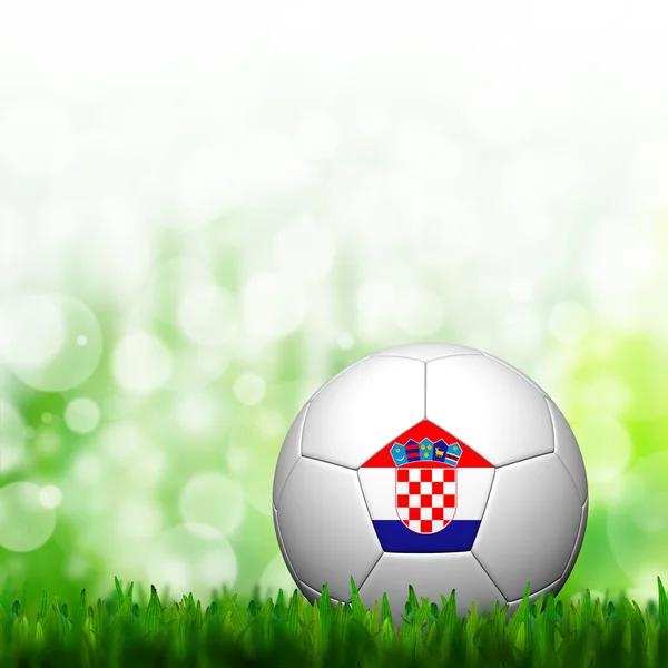 3D fotbal Chorvatsko vlajky radikál v zelené trávě a na pozadí — Stock fotografie