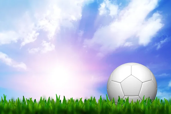 足球运动在绿草在黄昏的天空 — 图库照片