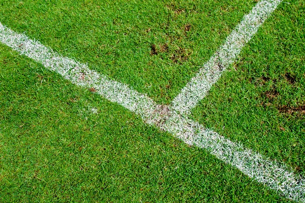 White stripe on the green soccer field — Stock Photo, Image