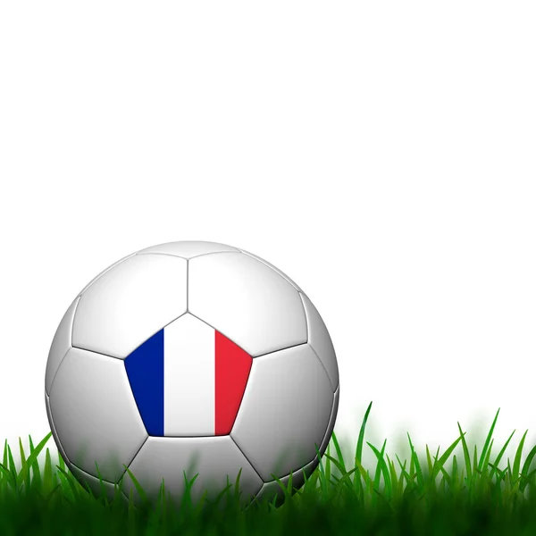 フランスの旗は白い背景に緑の草にパタパタ 3 d サッカー — ストック写真
