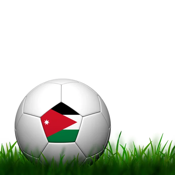 3δ Ποδόσφαιρο σημαία Ιορδανία κορακίστικα στο πράσινο γρασίδι σε λευκό αμουδερές — Φωτογραφία Αρχείου