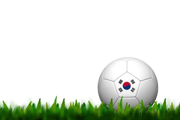 Balón de fútbol 3D Bandera de Corea Patter sobre hierba verde sobre espalda blanca —  Fotos de Stock