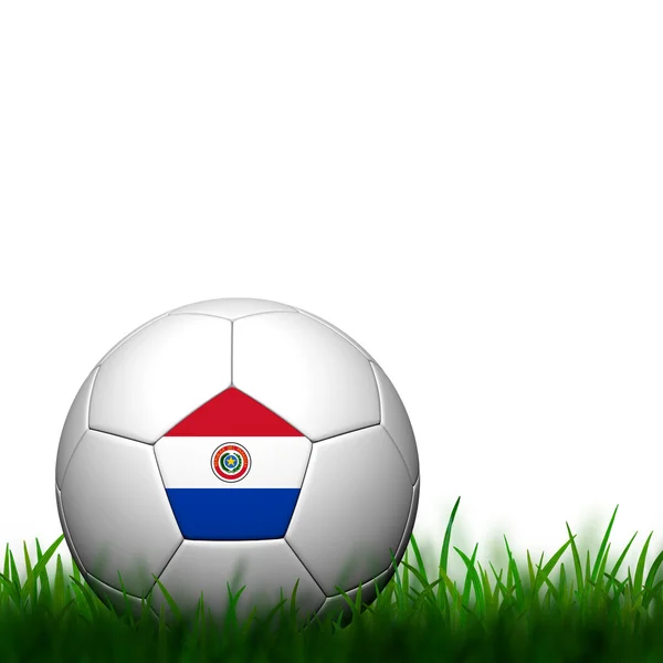 3D футбольний парагвайський прапор у зеленій траві на білому фоні — стокове фото