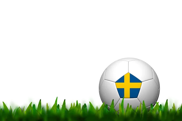 3D fotbal člen určitý genitálie balancovat Švédsko vlajky radikál na zelené trávě nad bílým bac — Stock fotografie