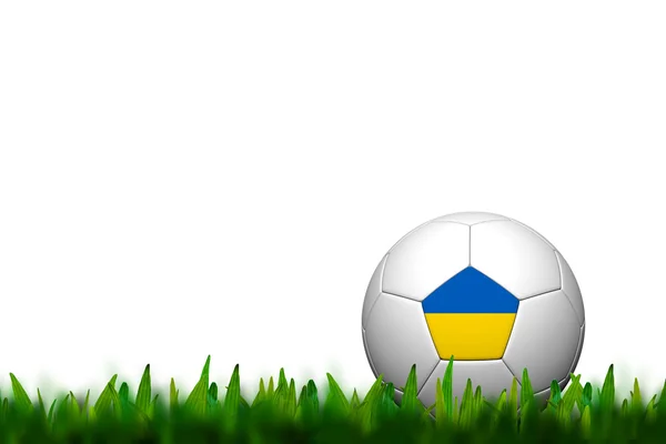 3 d サッカー balll ウクライナの旗は白い学士以上緑の草にパタパタします。 — ストック写真