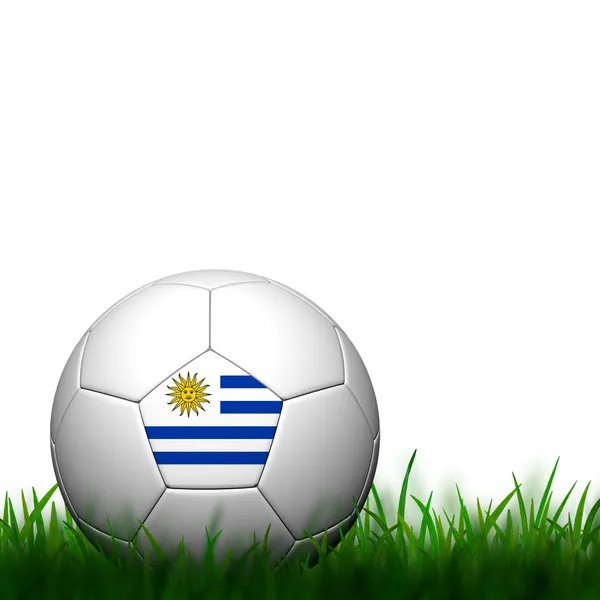 3D voetbal uruguay vlag geklets in groene gras op witte CHTERGRO — Stockfoto