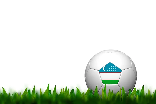 3D foci labda Üzbegisztán zászló kopog a zöld fű felett fehér — Stock Fotó