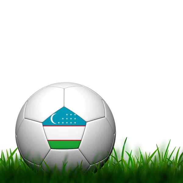 Yeşil çimenlerin üzerinde beyaz arka içinde 3D futbol Özbekistan bayrağı pıtırtı — Stok fotoğraf