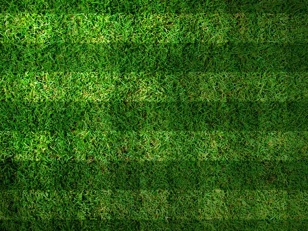 Levendig groen gras achtergrond, kunt gebruiken als achtergrond — Stockfoto