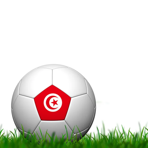 3D Fußball Balll Tunisia Flagge Pattern auf grünem Gras über weißen ba — Stockfoto