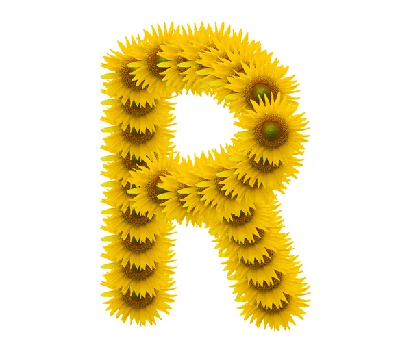 Alphabet R, sunflower isolated on white background — Stock Photo, Image