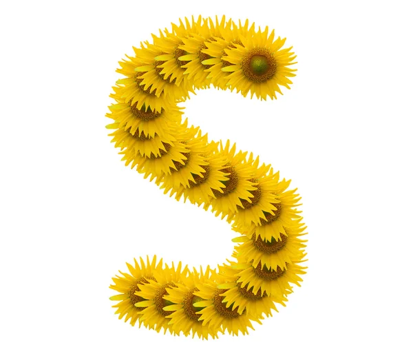 Alfabet S, bunga matahari terisolasi pada latar belakang putih — Stok Foto