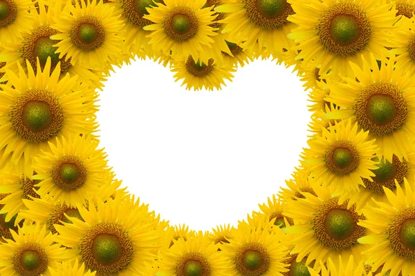 Beautiful sunflower with white space heart shape — Stock Photo, Image