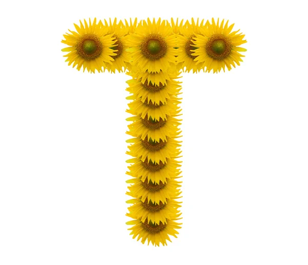 Alphabet t, Sonnenblume isoliert auf weißem Hintergrund — Stockfoto