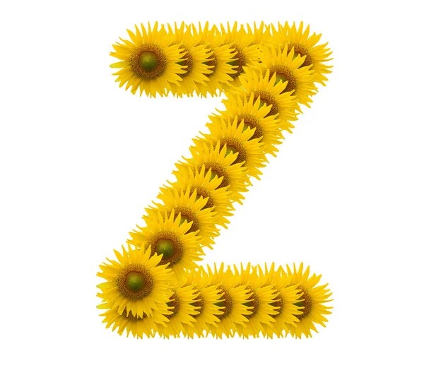 Alphabet Z, sunflower isolated on white background — Stock Photo, Image