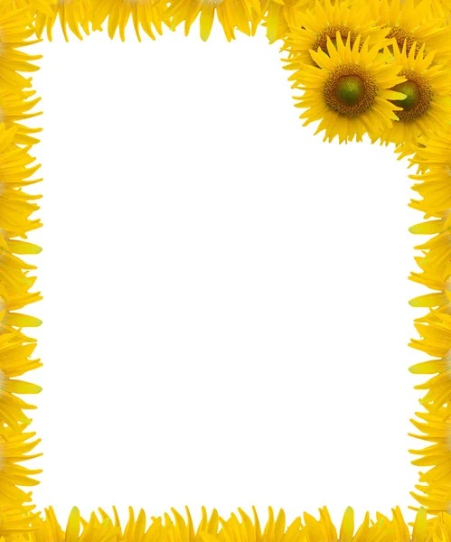 Pozadí slunečnice rámovou konstrukcí — Stock fotografie