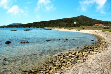 vahşi beach