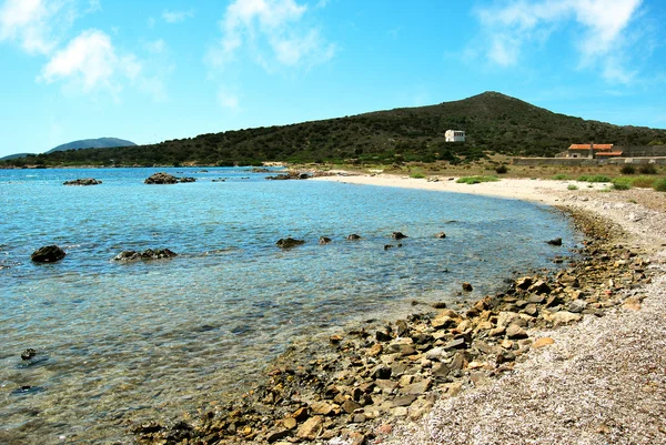 Stock image Wild beach