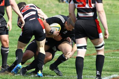 Mens rugby