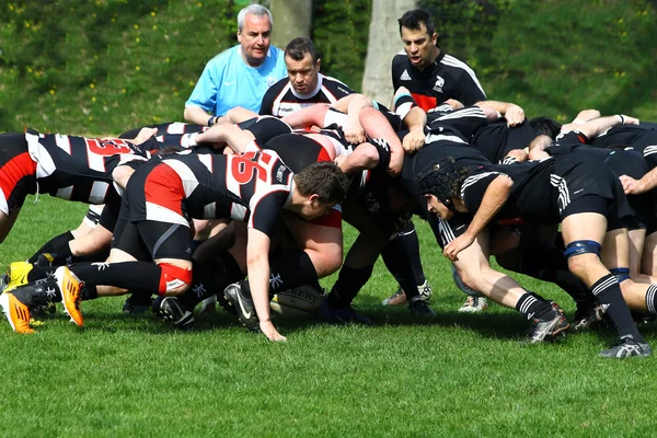 Rugby masculin — Photo