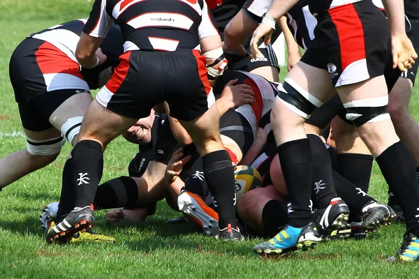 Männer-Rugby — Stockfoto