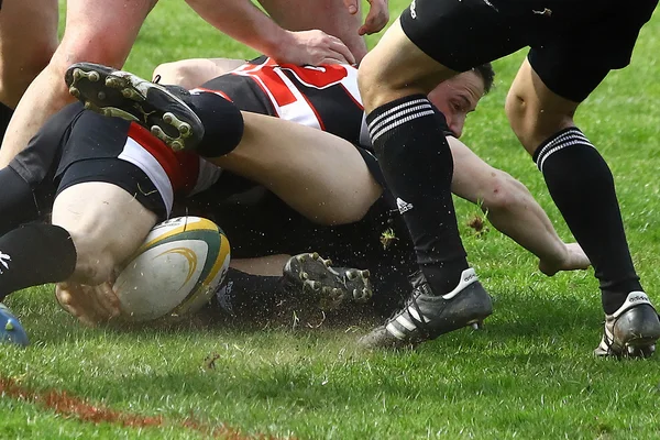 Männer-Rugby — Stockfoto