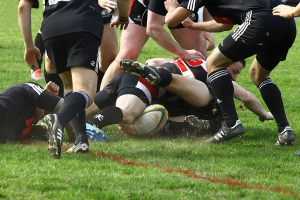 Rugby – stockfoto
