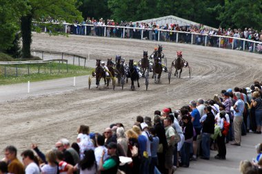 Horses racing clipart