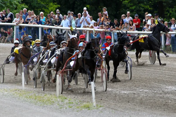 stock image Horses racing