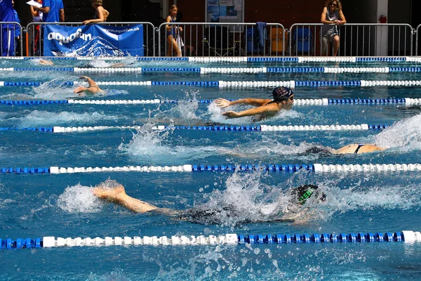 Úszás — Stock Fotó