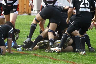 Mens rugby