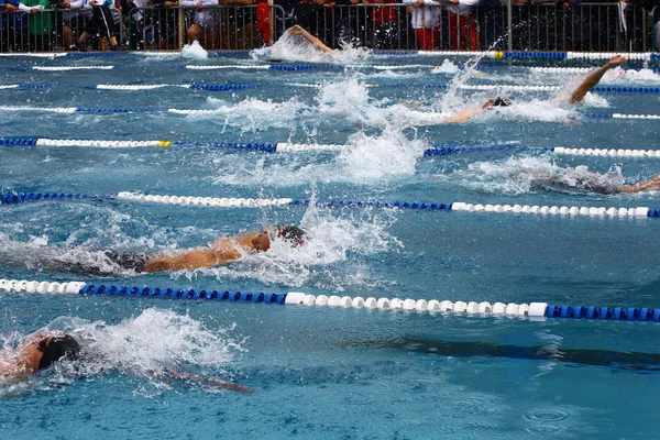 stock image Schwimmen