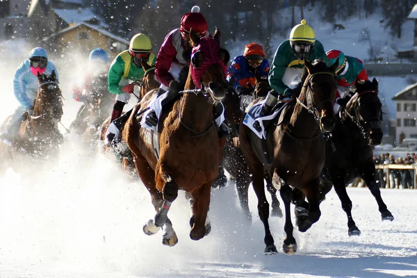 stock image Horse races in St. Moritz