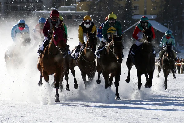 Horse races in St. Moritz — Stock Photo, Image