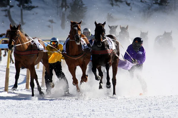 Corridas de cavalos em St. Moritz — Fotografia de Stock