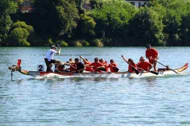 Dragon boat race in the Rhine/Schweiz clipart