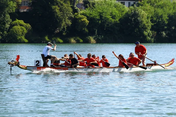 Змагання з веслуванн дракона в Рейн/Schweiz — стокове фото