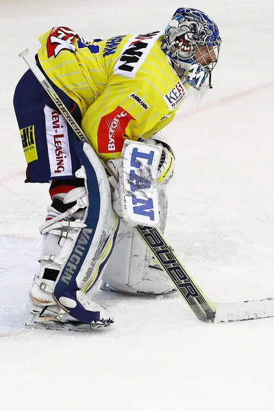 Jugador de hockey portero está en el hielo —  Fotos de Stock