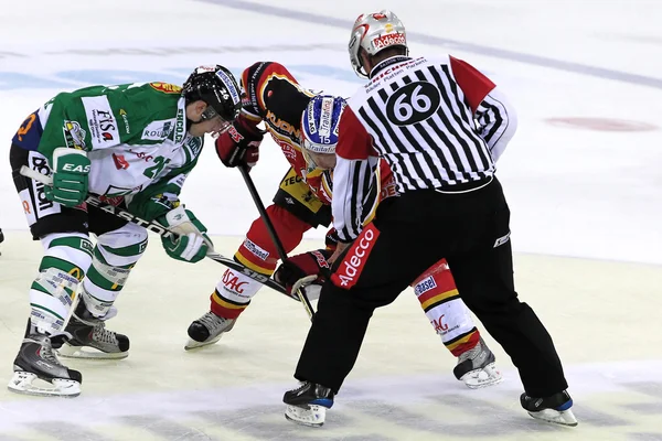 Ishockey - Stock-foto