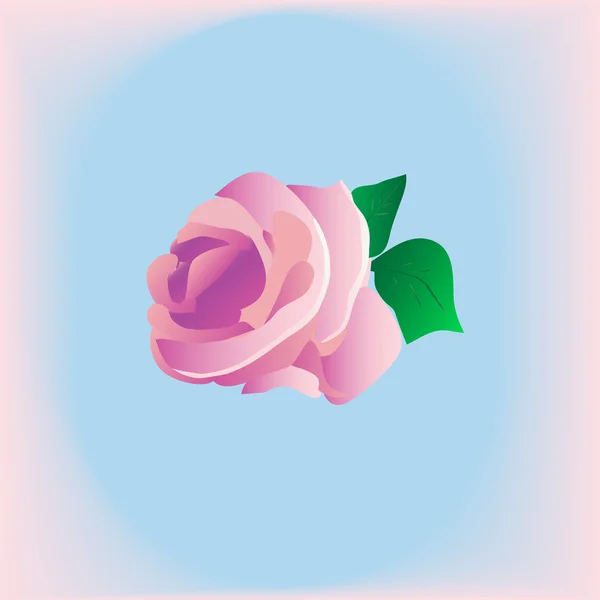 Świeże róże — Wektor stockowy