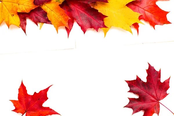 Рамка из красных и желтых кленовых листьев — стоковое фото