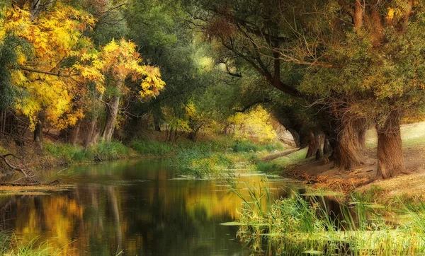 Мирная река в ранние часы — стоковое фото