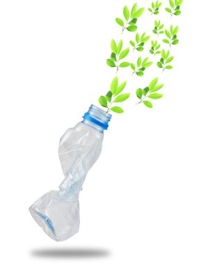 yeşil yaprak plastik şişe.