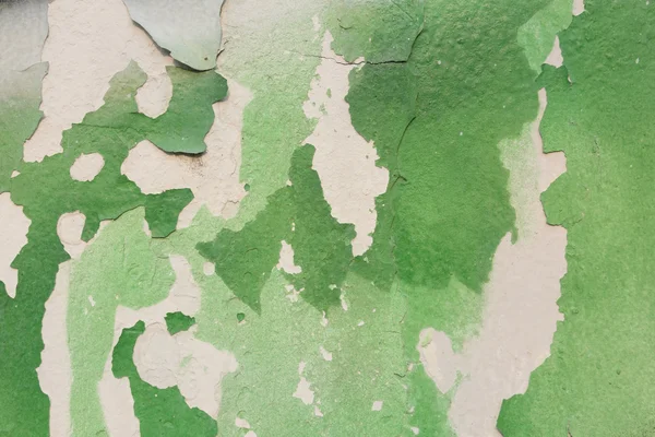 stock image Grunge green wall