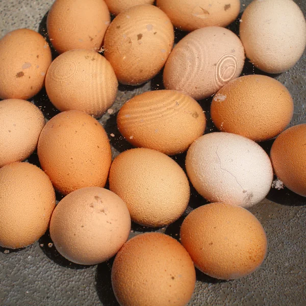 Яйца кипят — стоковое фото